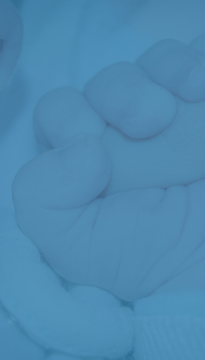 Rep. Fulcher Applauds Senate Hearing to Protect Abortion Survivors