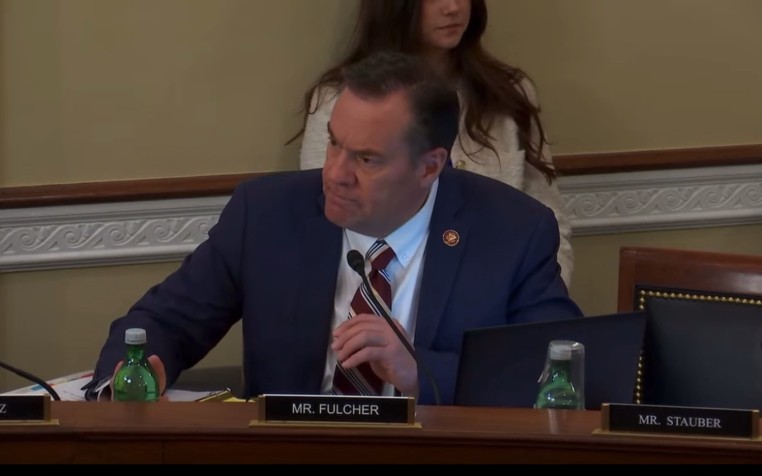 Idaho’s Senators Want to Remove Grizzly Bears From the Endangered Species List