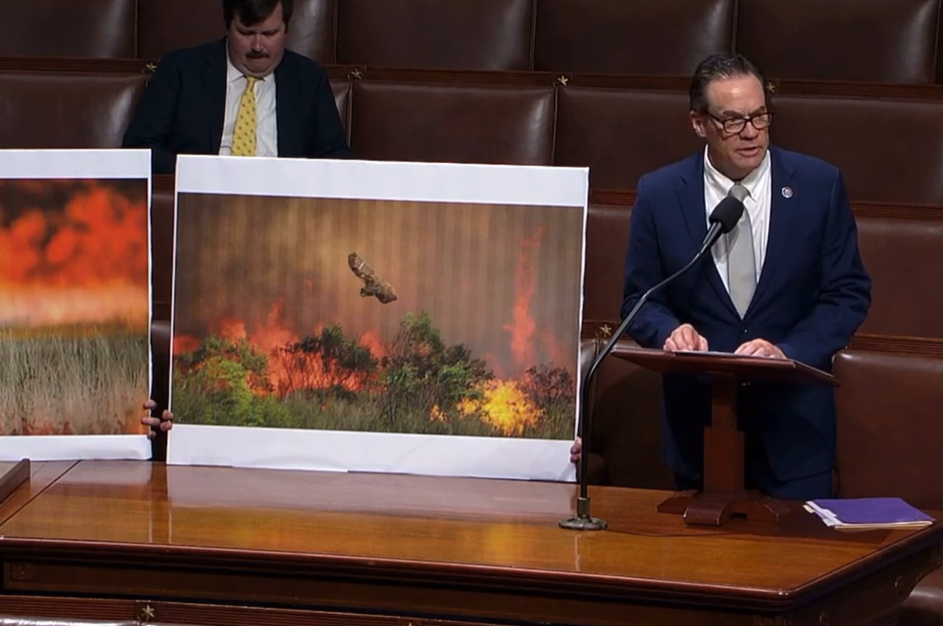 Congressman Fulcher on Need For Active Forest Management