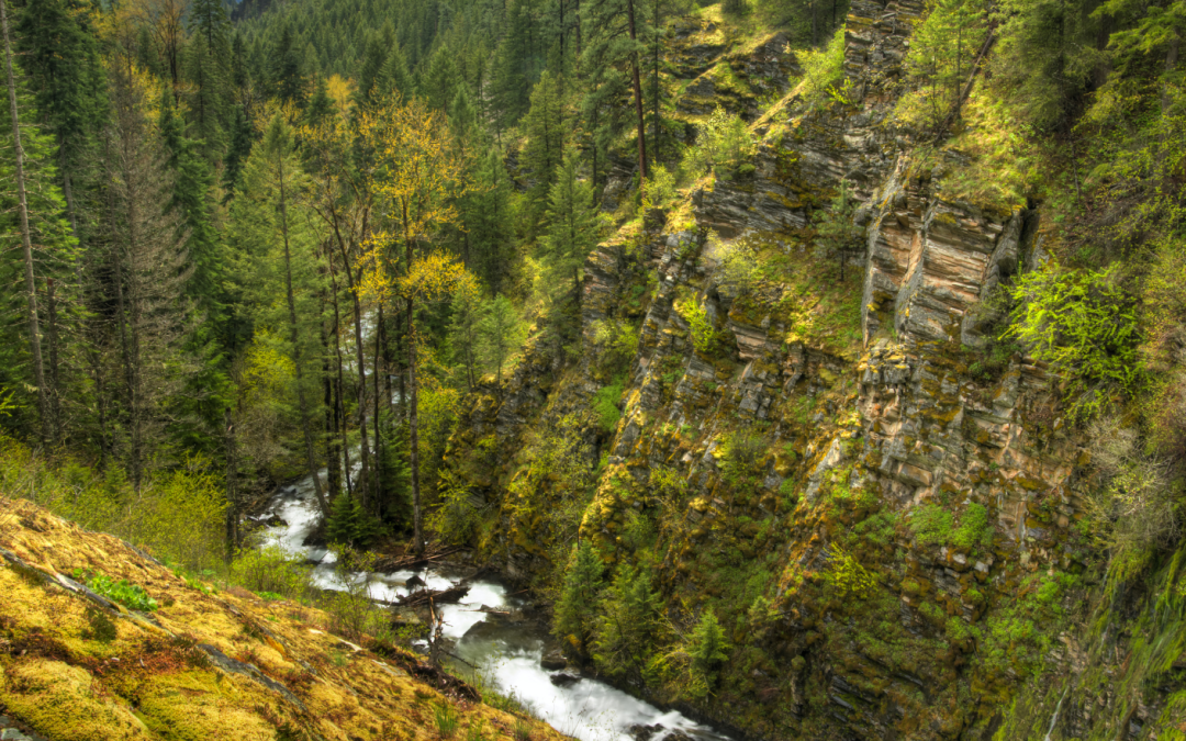 Fulcher, Maloy, Estes, Lamborn, and Biggs Reintroduce Legislation to Protect Private Water Rights