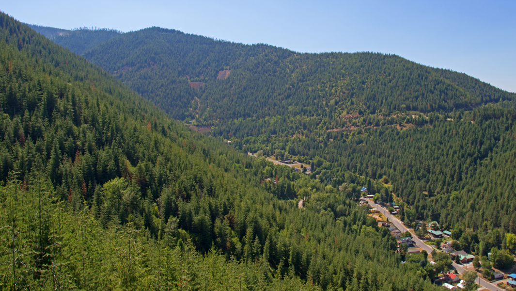 Fulcher Issues Public Lands Letter to Idaho Leadership