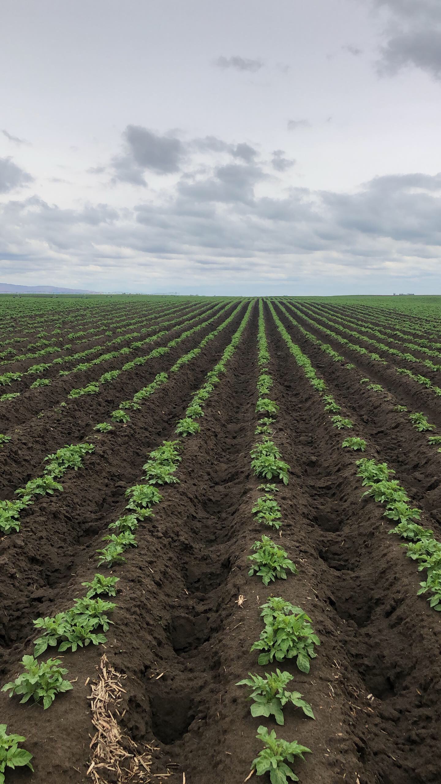 Rep. Fulcher Joins Effort to End Death Tax