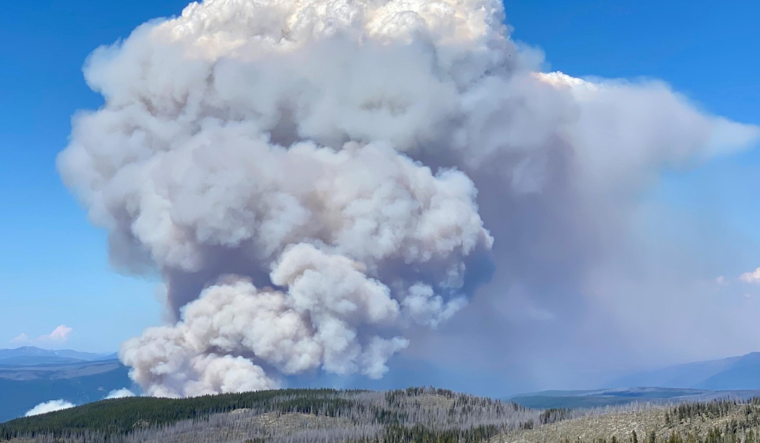 Fulcher, Risch, Crapo Demand Update on Elkhorn Fire Investigation