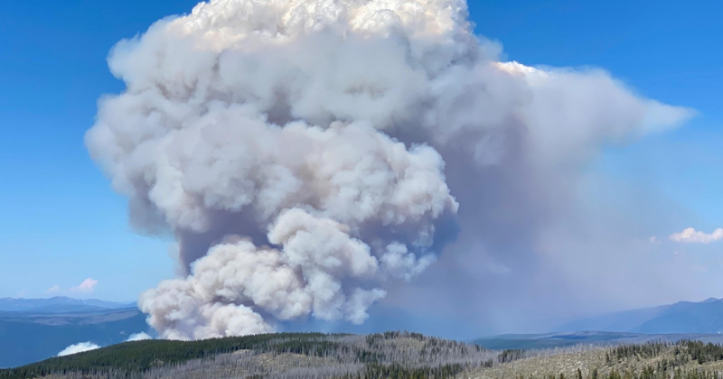 /?a=Files.Serve&file_id=CB2FE582-B588-4817-8D94-6A45CD5F417E