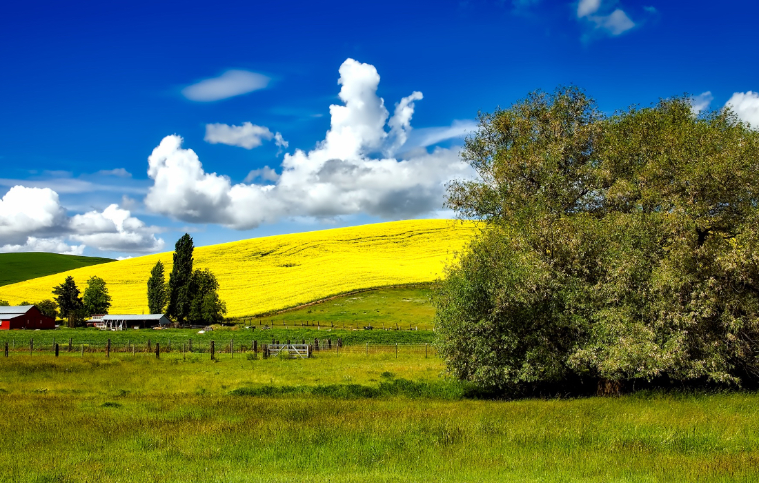 Natural Resources Committee Republicans Request More Transparency in Partisan “Hearings”